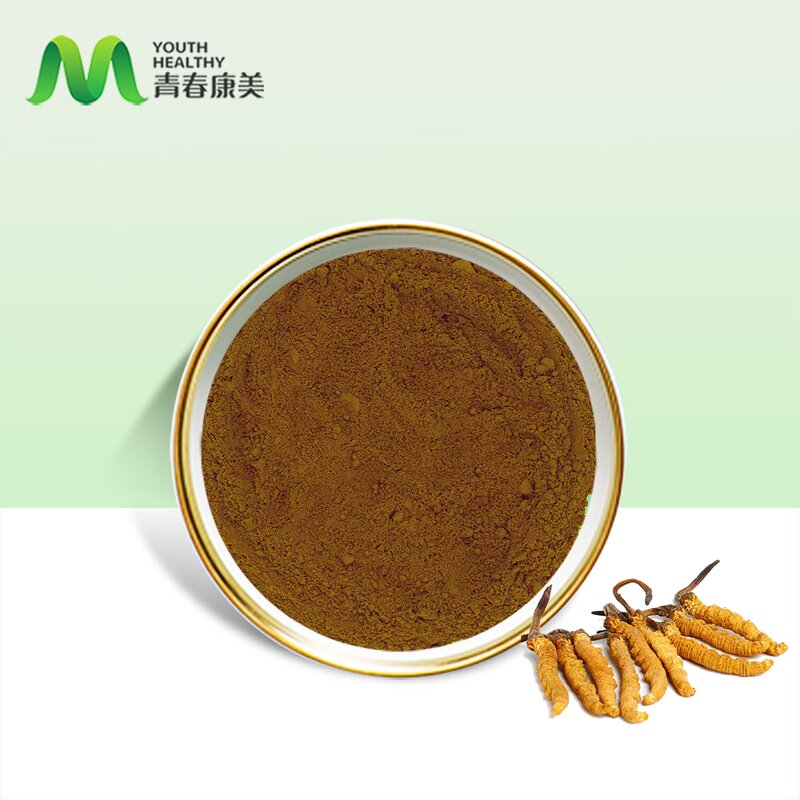 Cordyceps Sinensis Manufacturer - Organic Healthcare Cordycepin Rich Drum