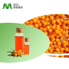 Seabromthorn Oil Manufacturer - EU Organic Bulk Food/Cosmetic Grade