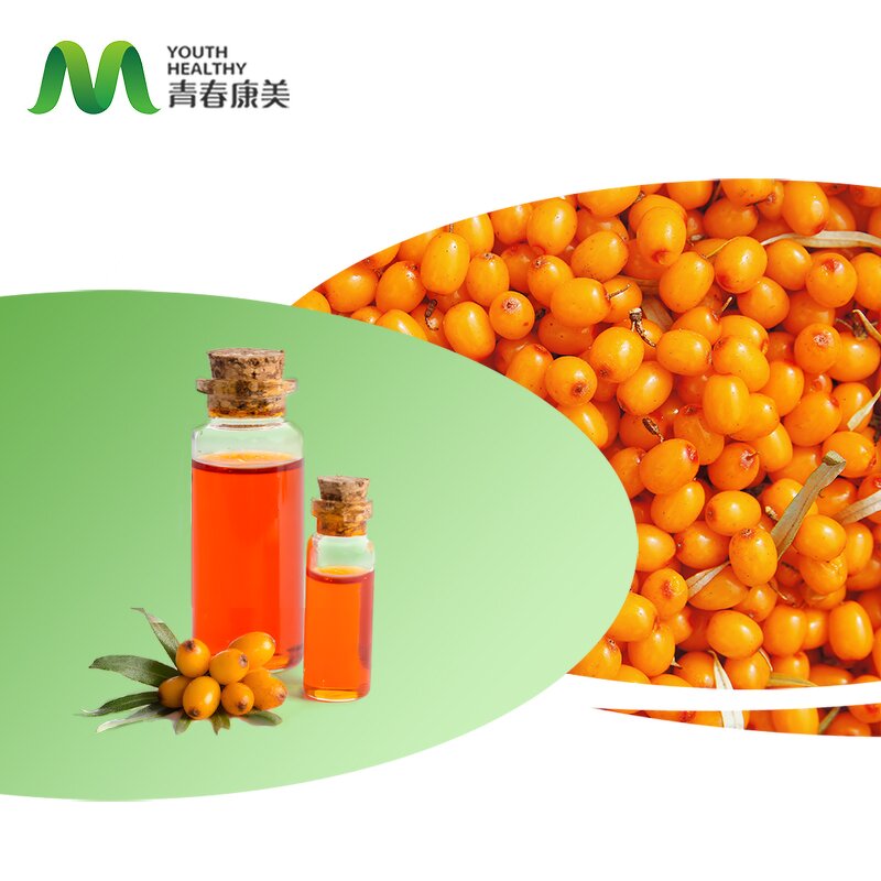 Seabromthorn Oil Manufacturer - EU Organic Bulk Food/Cosmetic Grade