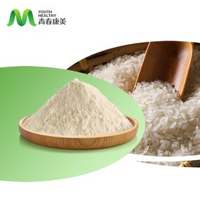 Rice Protein Powder Manufacturer - Wholesale Original Factory Food Grade