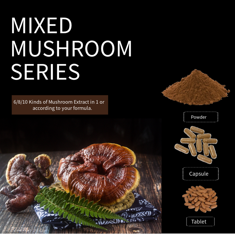 Reishi Mushroom Manufacturer - EU Organic Food Grade Vitamin Supplement Drum