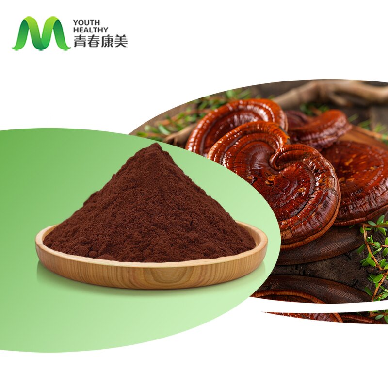 Reishi Mushroom Manufacturer - EU Organic Food Grade Vitamin Supplement Drum