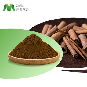 Cinnamon Bark Manufacturer - Halal Organic Dalchini Pure Bulk Powder