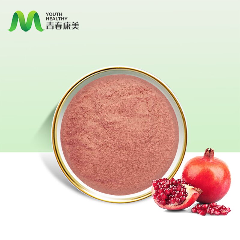 Pomegranate Fruit Manufacturer - 100% Natural Water Soluble Juice Powder