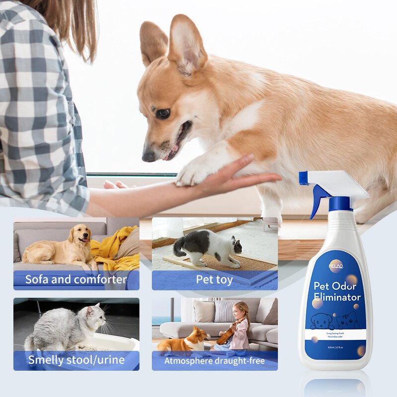 Odor Remover Manufacturer - Private Label Fragrance Free Neutralizer for Dog Cat Horse Pet Stain