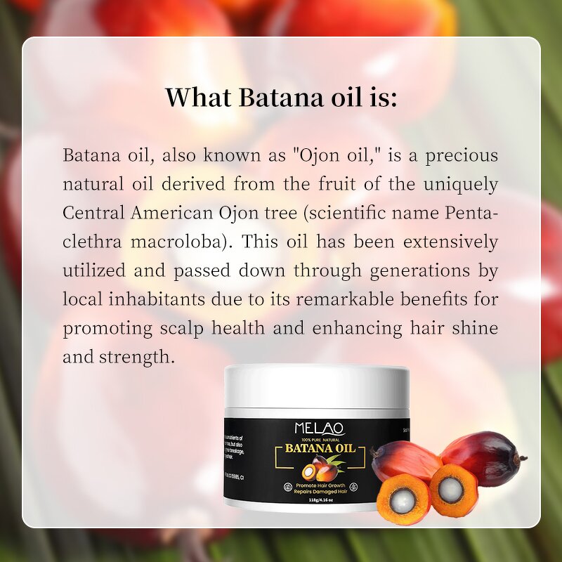 Batana Oil Manufacturer - OEM Hair Growth Organic Raw Premium Honduras Palm Tree Oil