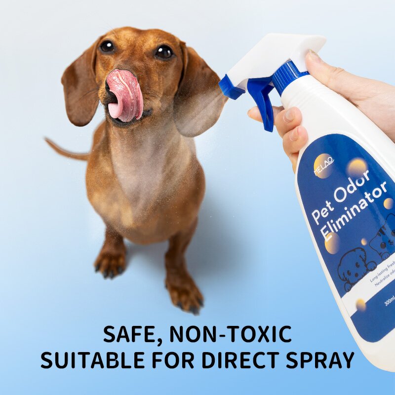 Odor Remover Manufacturer - Private Label Fragrance Free Neutralizer for Dog Cat Horse Pet Stain