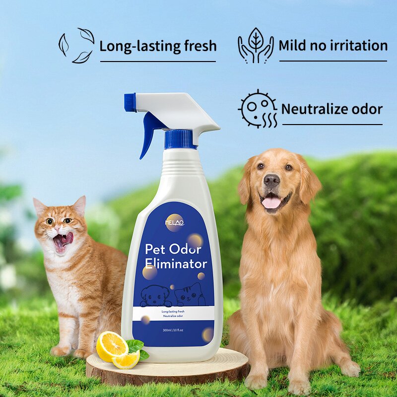 Odor Remover Manufacturer - Private Label Fragrance Free Neutralizer for Dog Cat Horse Pet Stain