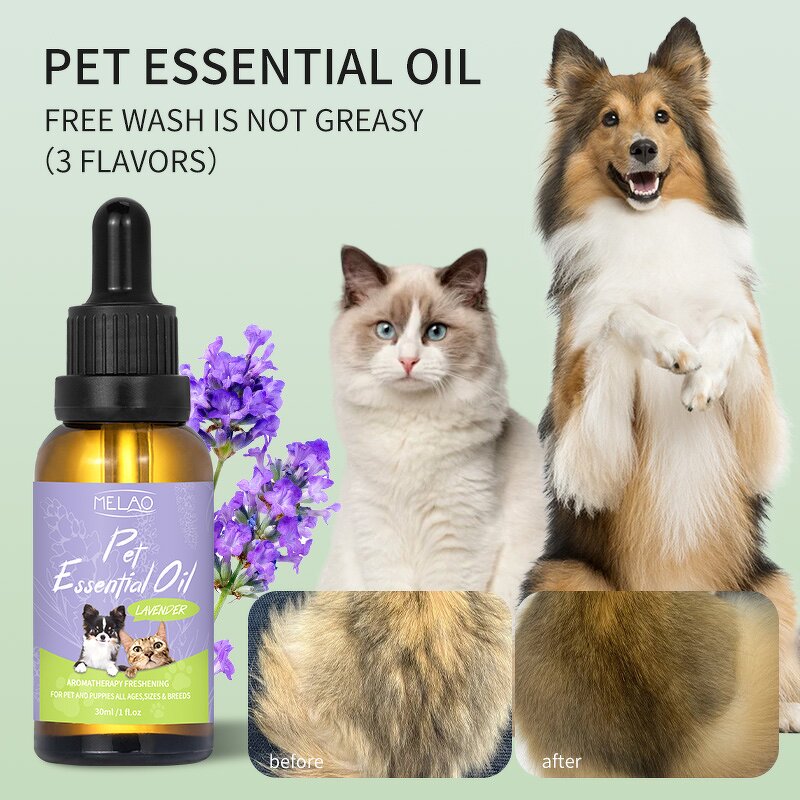 Pet Oil Manufacturer - Custom Logo Irritated Skin Soothing Anti Itching Chamomile Pet Essential Oil
