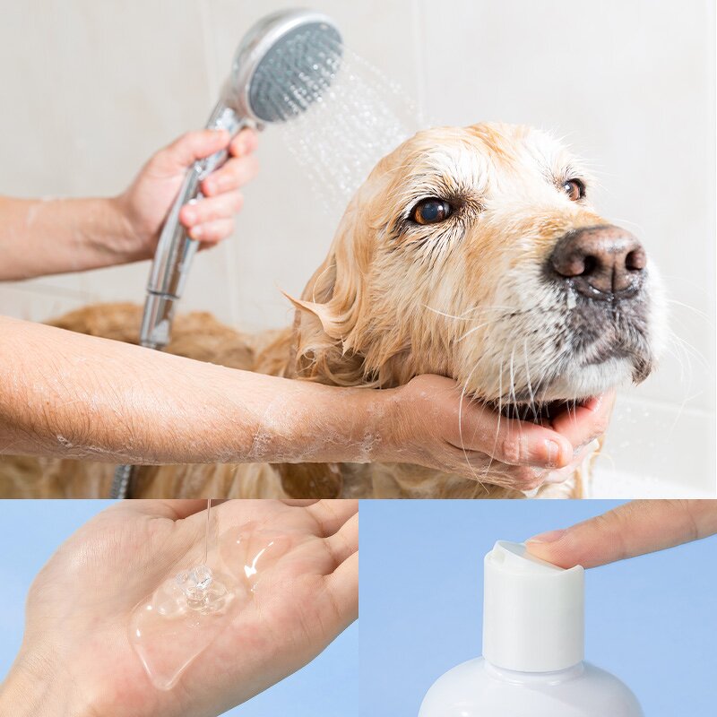 Pet Shampoo Manufacturer - Wholesale High Quality Anti Fungal 5 in 1 Pet Cleaning Bathing