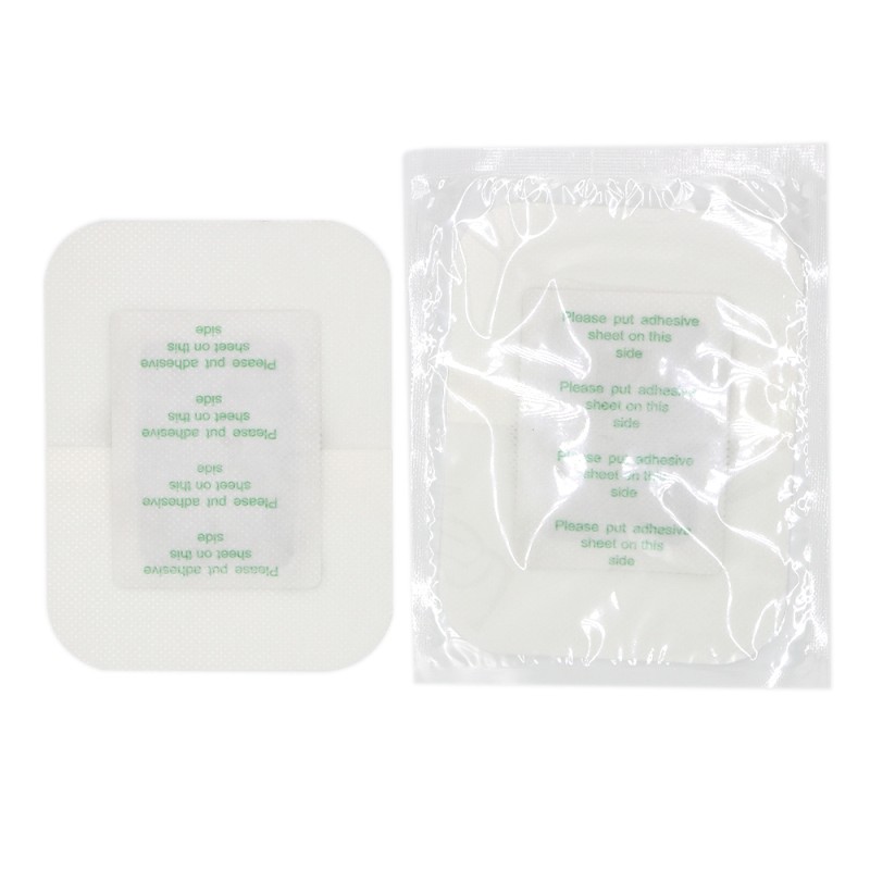 Circulation Foot Patches Supplier - Ginger 2 in 1 Detox Pads