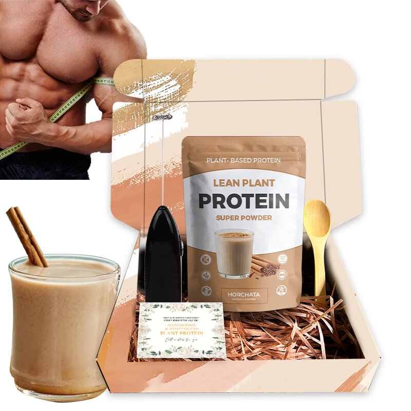 Plant Based Protein Manufacturer - OEM Customized Kits Frother Vegan Cinnamon Rice Protein Horchata