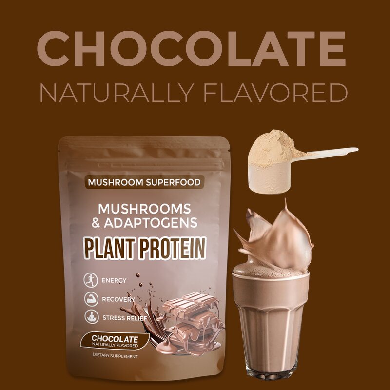 Mushroom Protein Manufacturer - Private Label Botanical Adaptogens 10 Mushrooms Energy Recovery Chocolate