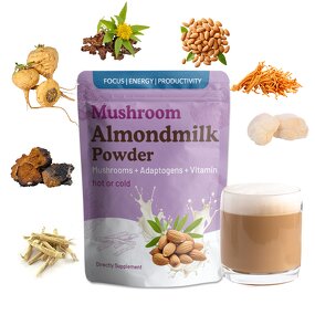 Almond Milk Powder Manufacturer - Organic Pea Protein Quinoa Almond Milk Powder for Adults