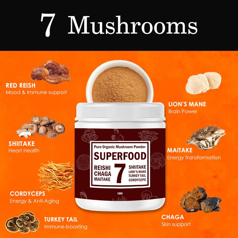 Mushroom Extract Powder Manufacturer - OEM Organic Chaga Reishi Cordyceps Nootropic Supplement