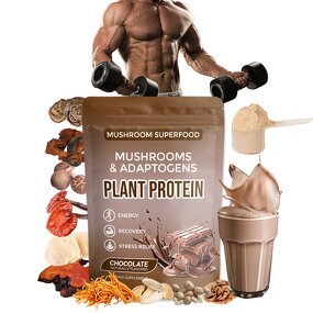 Mushroom Protein Manufacturer - Private Label Mushroom Extract Plant Based Protein Lions Mane Adaptogens
