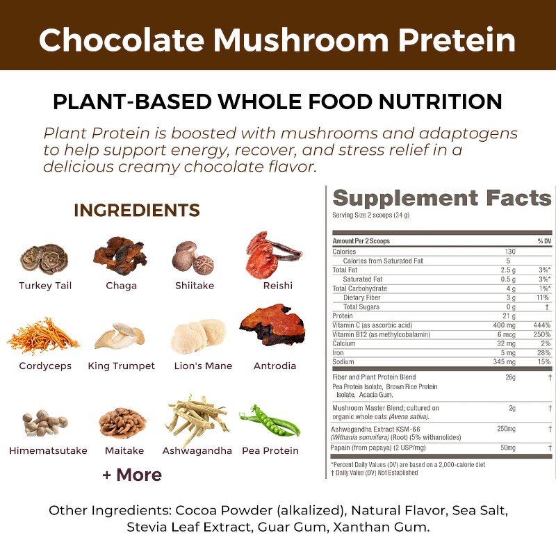 Mushroom Protein Manufacturer - Private Label Mushroom Extract Plant Based Protein Lions Mane Adaptogens