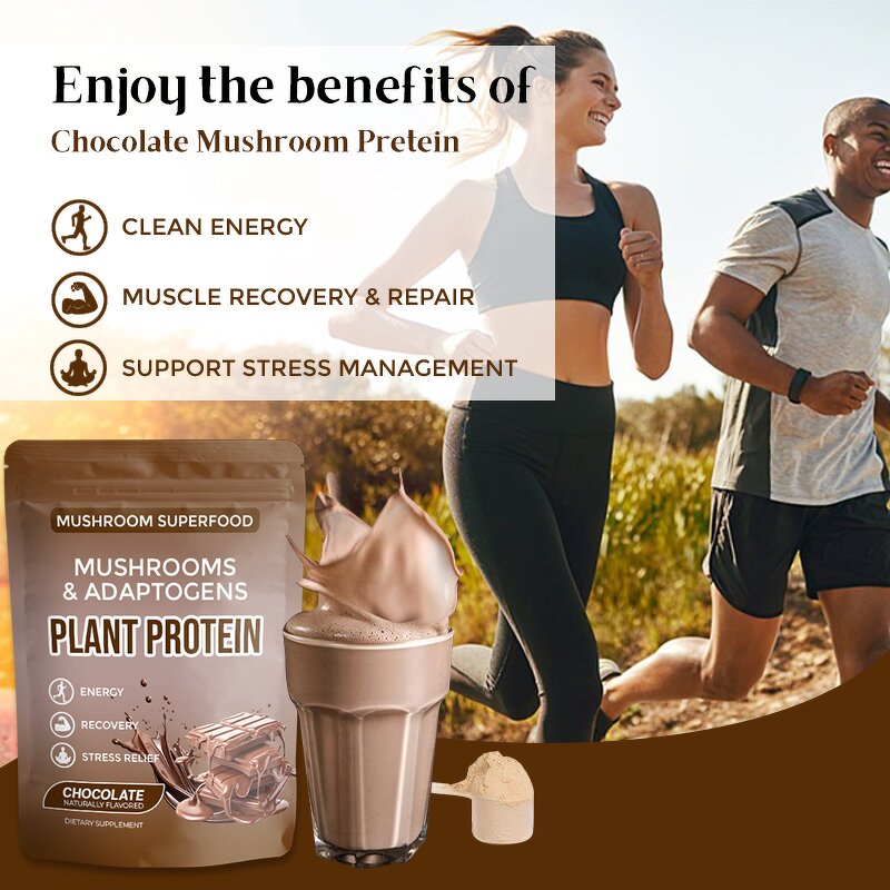 Mushroom Protein Manufacturer - Private Label Botanical Adaptogens 10 Mushrooms Energy Recovery Chocolate
