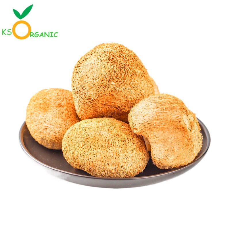 Mushroom Extract Powder Manufacturer - OEM Factory Organic Liquid-solid Extraction Food Grade Artificial 2 Years