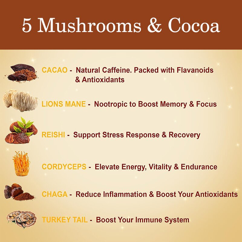 Cocoa Powder Manufacturer - Custom Health Support Focus Energy Alternative Mushroom Cocoa Powder