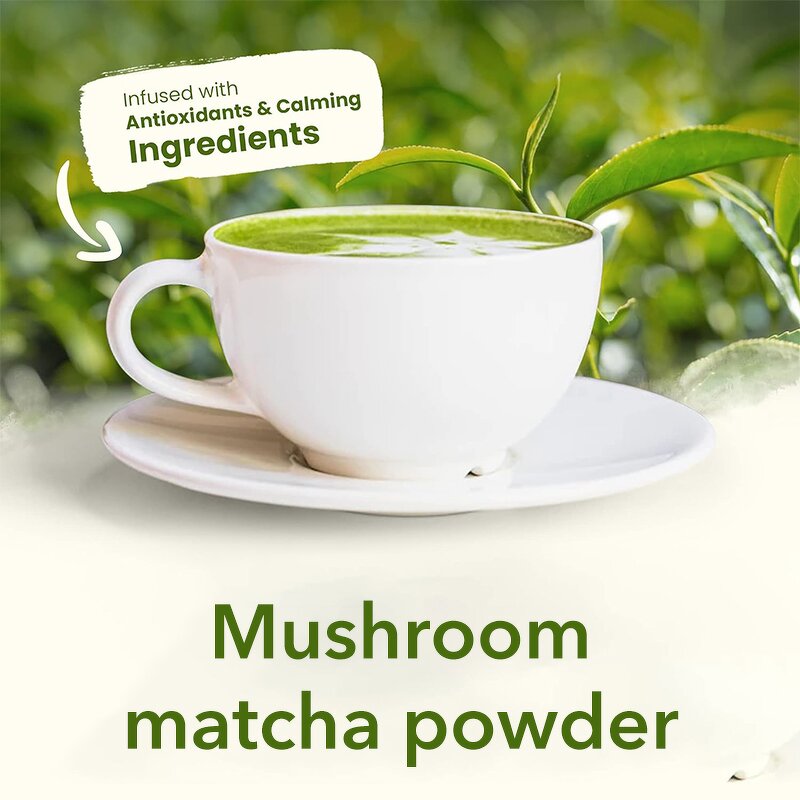 Matcha Powder Manufacturer - Custom Organic MCT Oil Immune Support Superfood Mushroom Matcha Powder