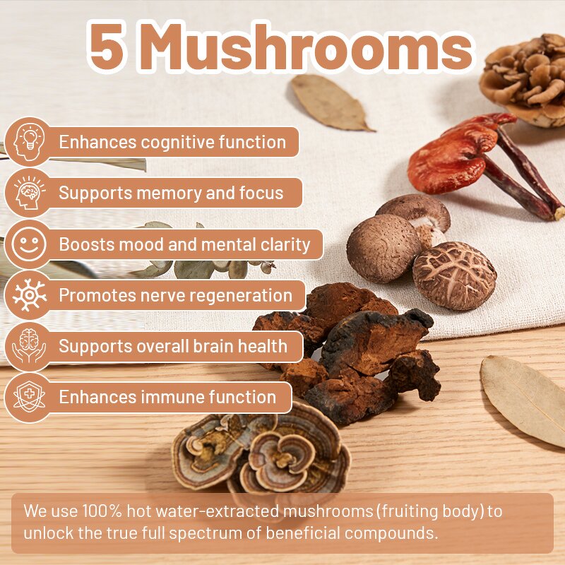 Mushroom Creamer Manufacturer - OEM Mushroom Coconut Natural Creamer Coffee Shilajit Adaptogens Superfood