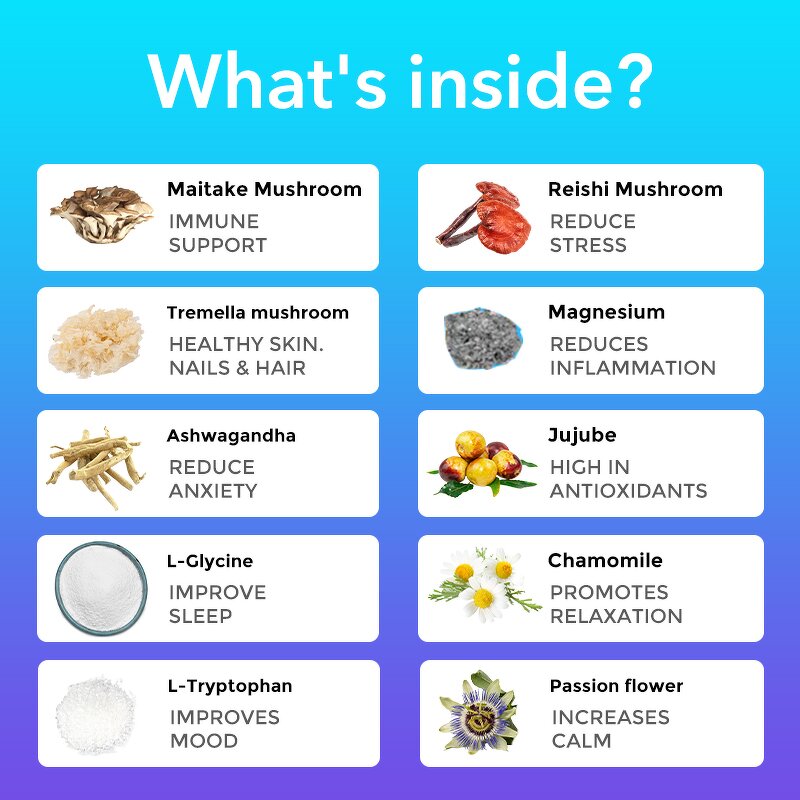 Chocolate Powder Manufacturer - Private Label Chocolate Flavored Mushroom Sleep Relaxing Reishi Ashwagandha