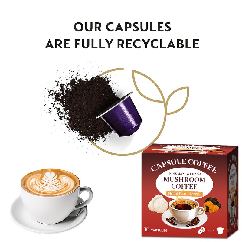Mushroom Coffee Manufacturer - OEM Compatible Coffee Machine Focus Immune Support Capsule Mushroom Coffee