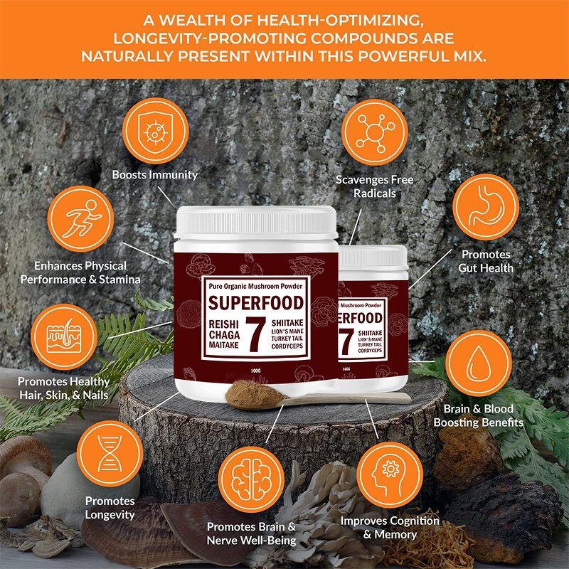 Mushroom Extract Powder Manufacturer - OEM Organic Chaga Reishi Cordyceps Nootropic Supplement