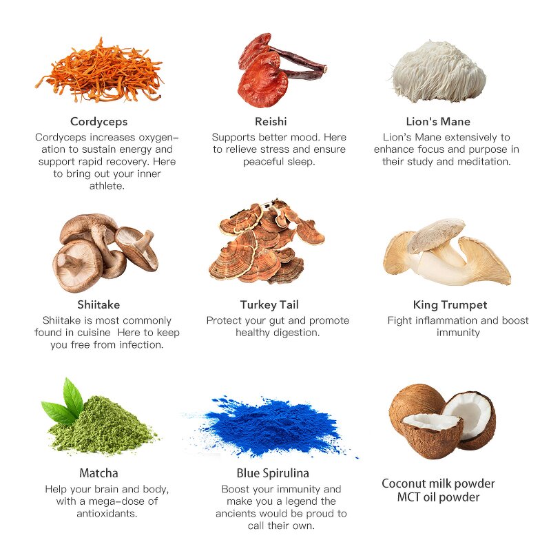 Matcha Powder Manufacturer - Custom Organic MCT Oil Immune Support Superfood Mushroom Matcha Powder