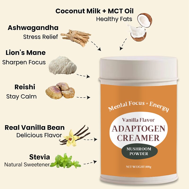 Mushroom Creamer Manufacturer - Private Label Superfood Keto Mushroom Lions Mane Powder Creamer
