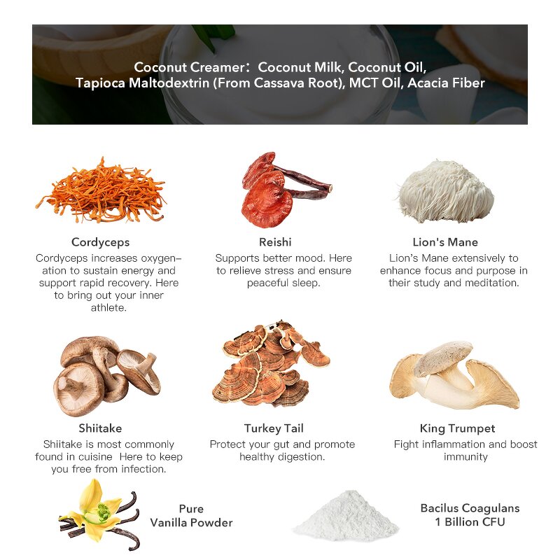 Latte Powder Manufacturer - Private Label Support Digestion Coffee Alternative Probiotic Mushrooms Creamer