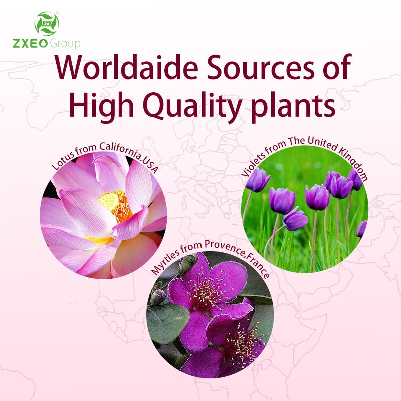 Essential Oil Set - Top 6 Geranium Tea Tree Orange for Diffuser Home Fragrance Massage