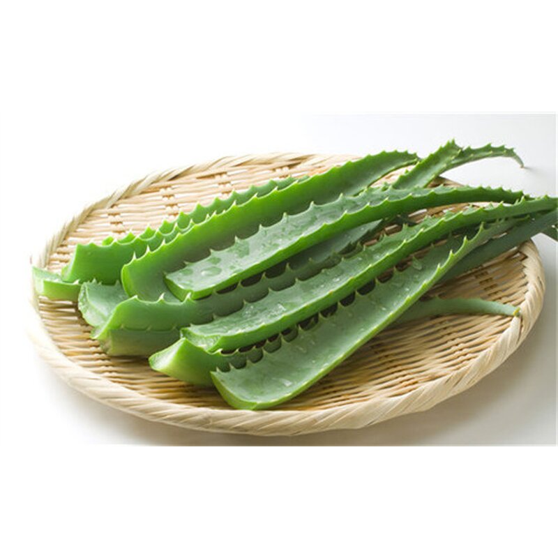 Vanillyl Butyl Ether - Fast Delivery Cosmetic Heating Agent CAS 82654-98-6