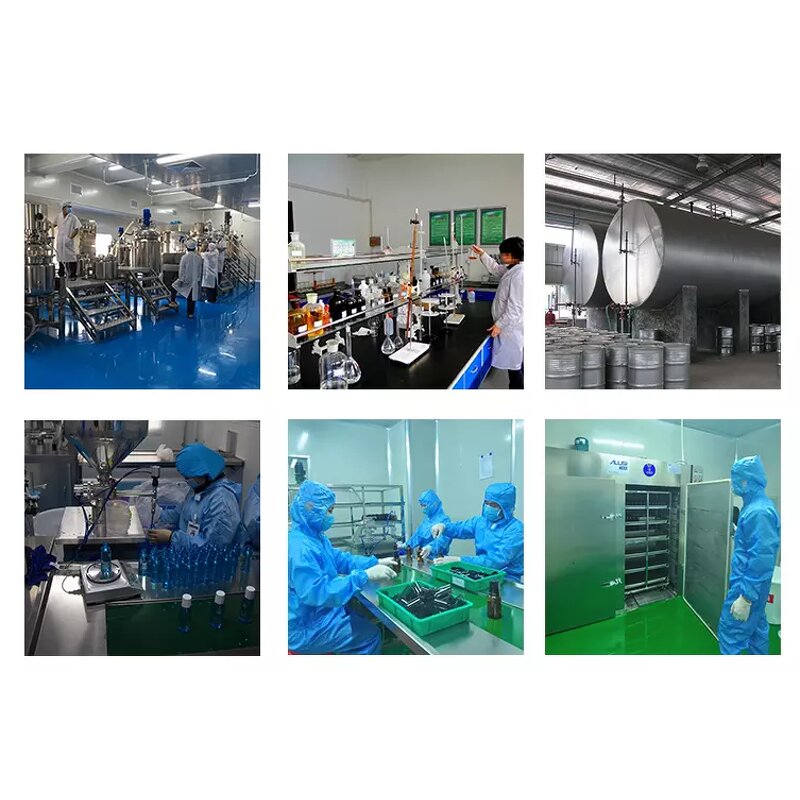 Rhizoma Acori Tatarinowii Oil - Factory Supply for Body Care Extract