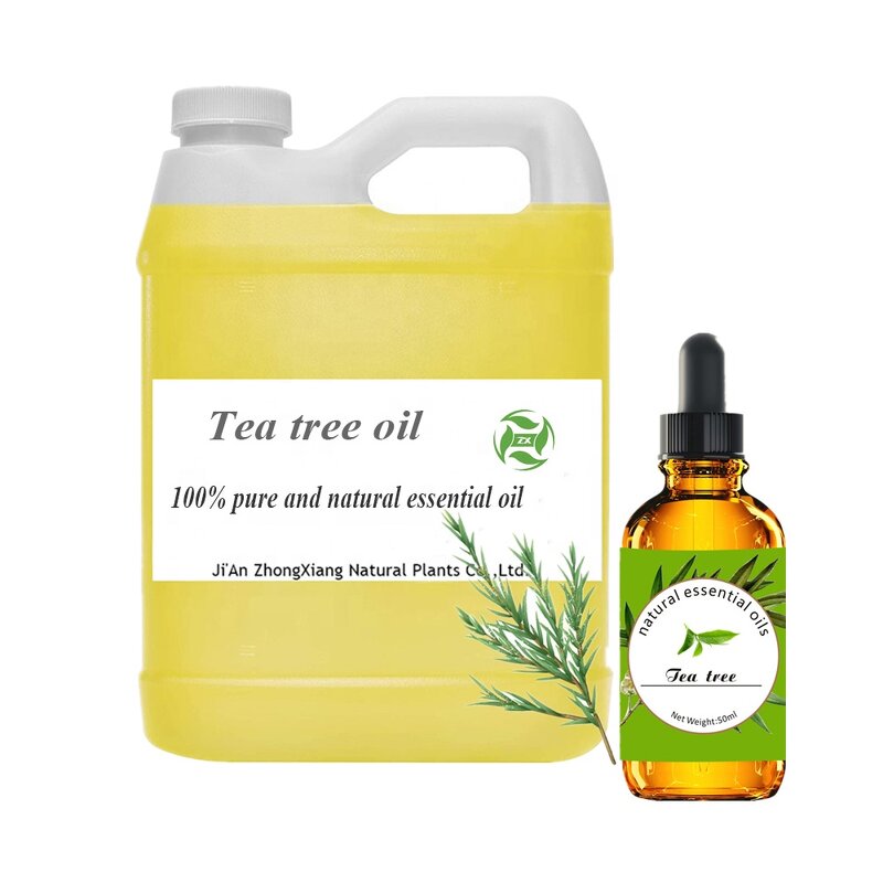 Rose Essential Oil Factory - 100% Pure Natural USDA Certified for Massage Diffuser Bulk