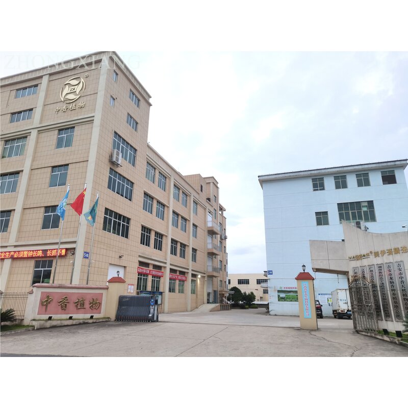 Black Walnut Oil Manufacturer - Natural Organic Cold Pressed for Carrier Oil Bulk