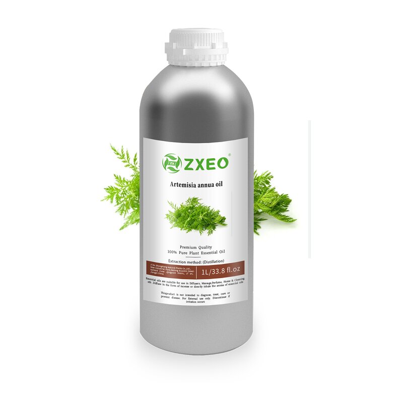 Artemisia Annua Oil Manufacturer - 100% Pure Natural for Health Care