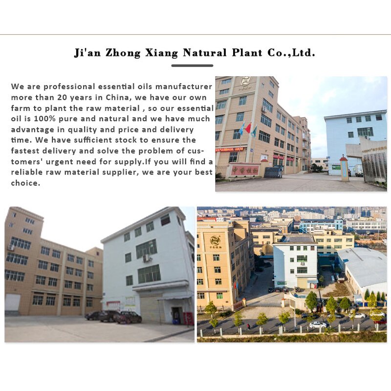 Massage Oil Set - OEM Factory China 6 Pack 100% Pure Therapeutic Grade