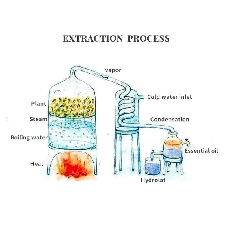 Rose Petal Oil - Hot Sale Firming Compound Multi Use Face Body Hair Serum