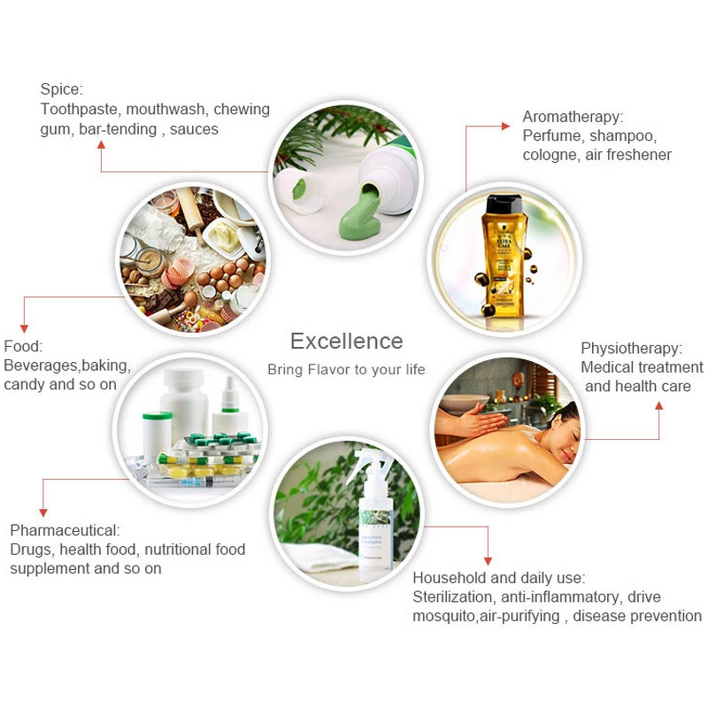 Sea Buckthorn Oil - Hot Selling 100% Pure Organic for Face Skincare