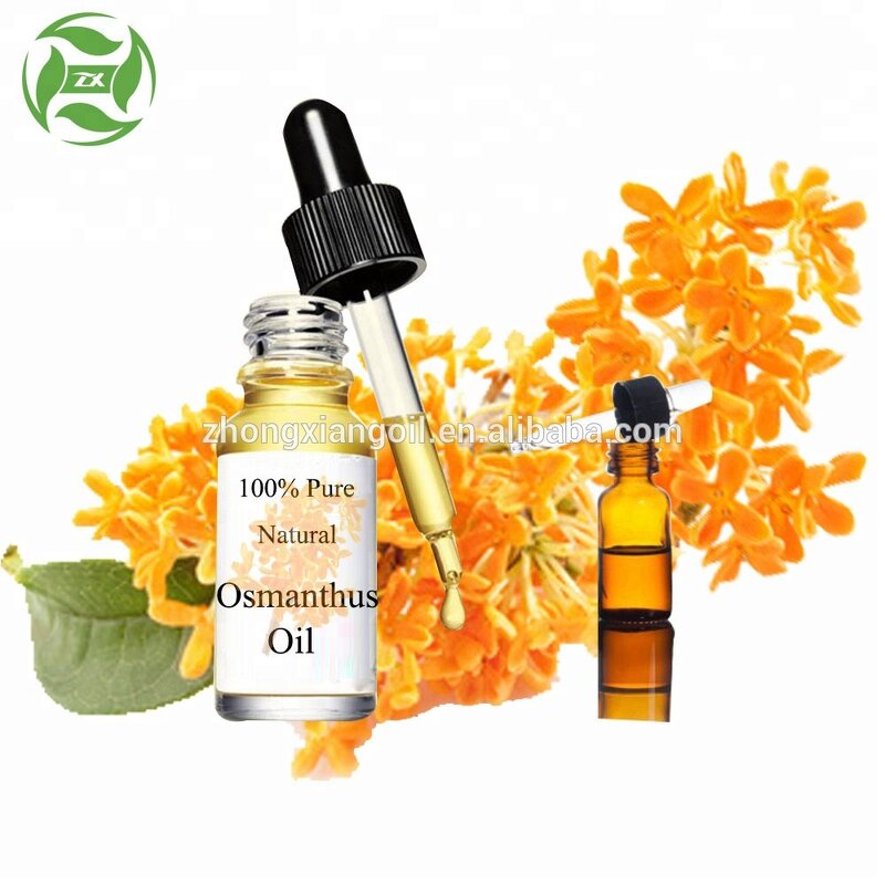 Witch Hazel Oil - 100% Pure Therapeutic Grade for Skincare