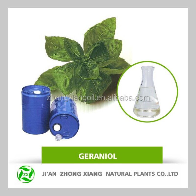 Ginger Oil Manufacturer - Pure and Natural Top Quality for Body Care