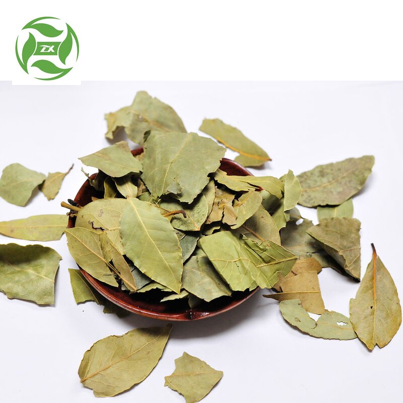 Ginger Oil Manufacturer - Pure and Natural Top Quality for Body Care