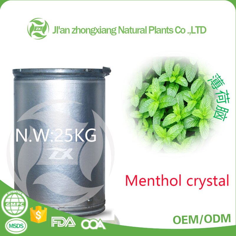 Camellia Oil - 100% Organic Nature for Skin Care Hair Care