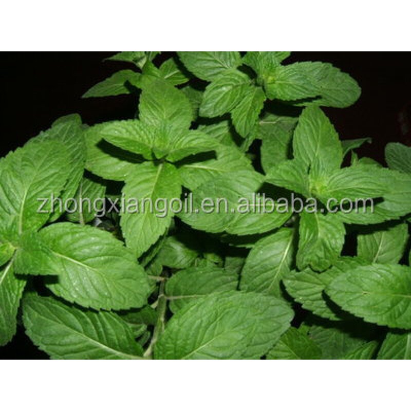 Rose Linen Spray - Pure Rose Essential Oil for Relaxation Sleep Stress