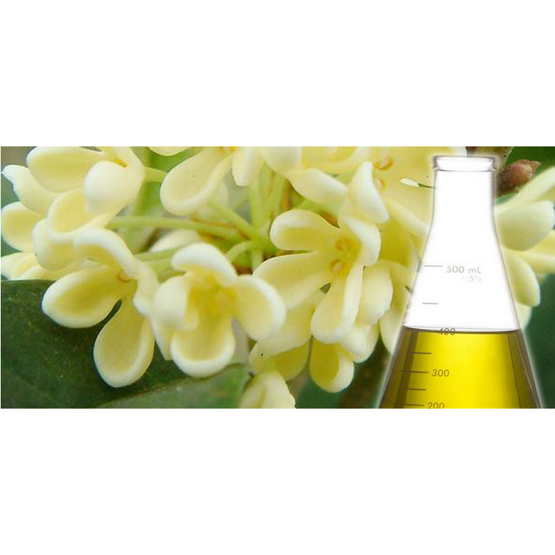 Chamomile Essential Oil - Roman Best with FREE Sample