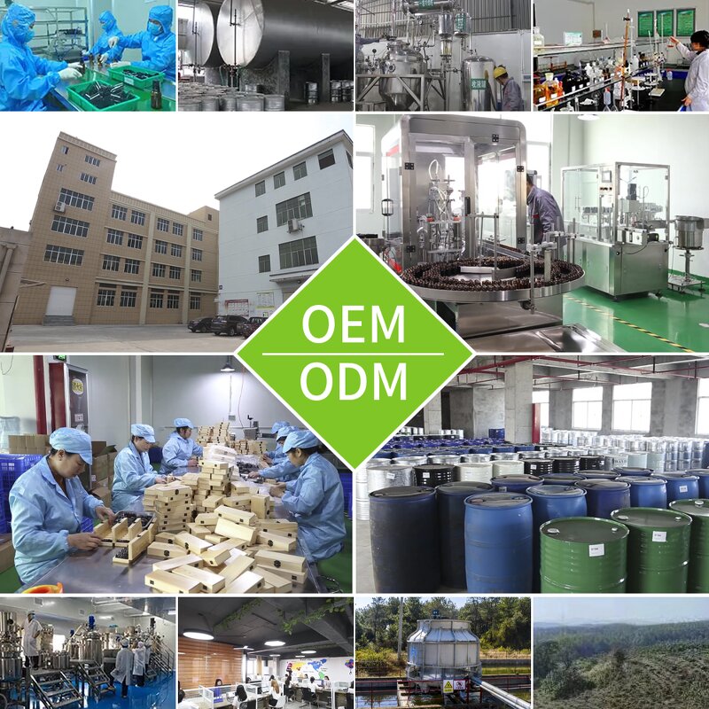 Mosquito Repellent Ointment - Itching Cooling Cream for Mosquito Bites Soothing