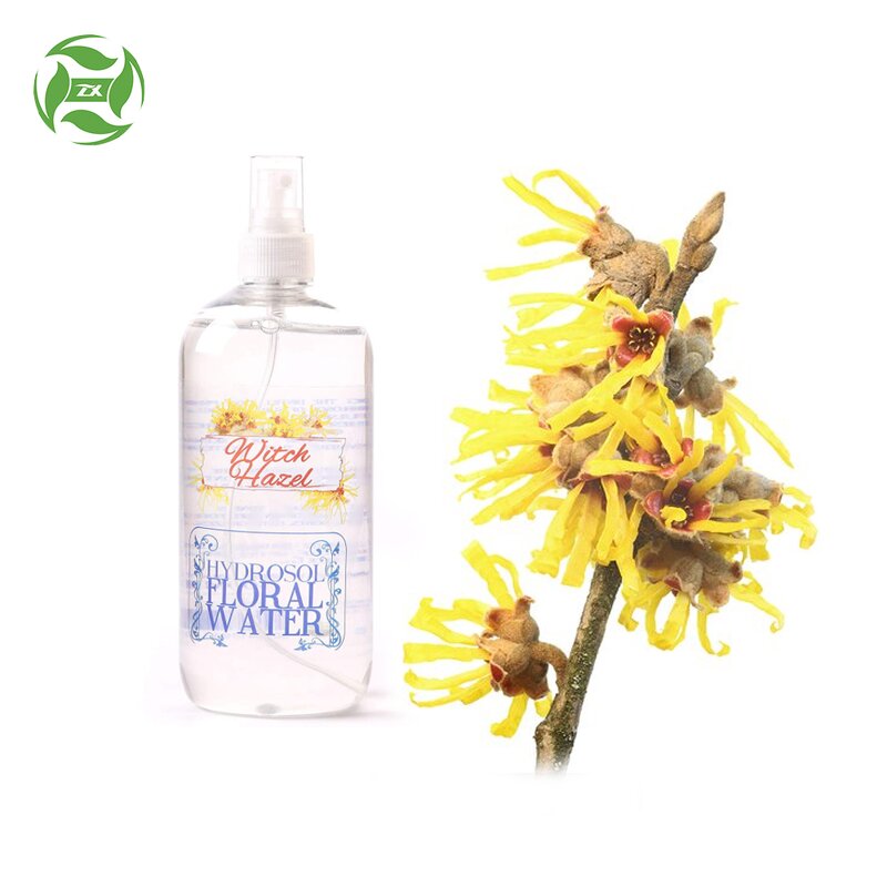 Aloe Vera Gel Manufacturer - 100% Pure for Face Body Hair Bulk Price