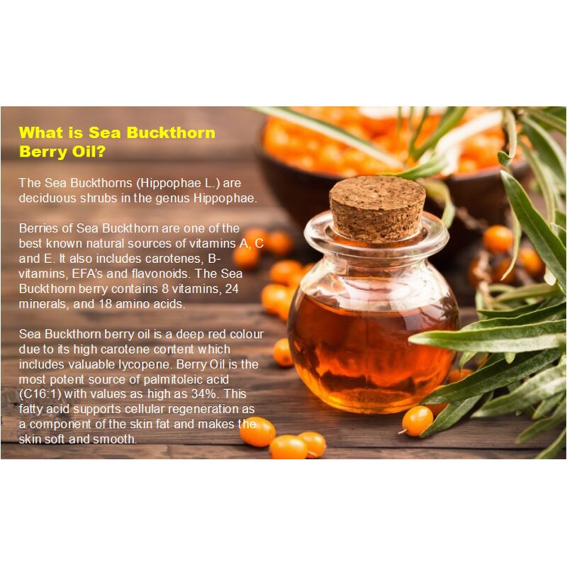 Clary Sage Oil - Wholesale for Skin Care Body Care Diffuser Aromatherapy